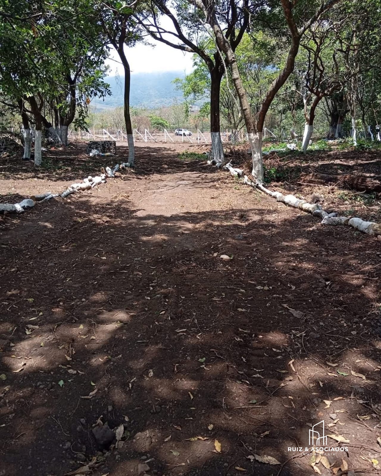 🏡 Terreno Rustico en Venta | Alotenango, Sacatepéquez — foto 2 de 4
