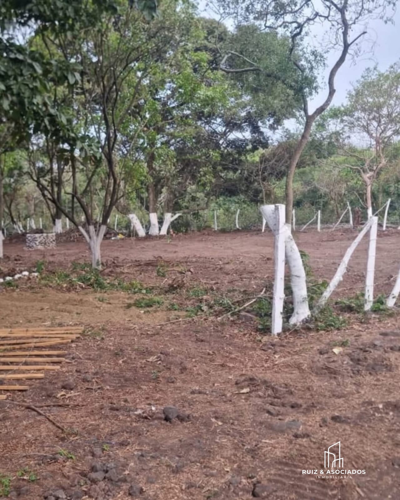 🏡 Terreno Rustico en Venta | Alotenango, Sacatepéquez — foto 3 de 4